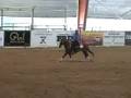 Doug Williamson and Starlight Bandoleno NSHA Rein Work