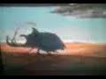 PUMBA VS NALA