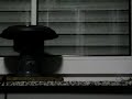 Feueralarm S1
