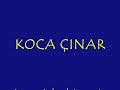 akarsu necati büyükçamurlu köyü (demo) akarsu necati büyükçamurlu köyü (demo)