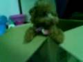 Toy