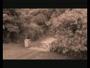 Behind The Screams (Trailer) Behind The Screams (Trailer)
