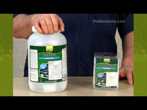 how to dissolve algae