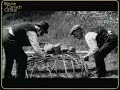 Boyne Currach