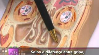 Valcir Da Mata-7