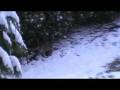 videos de Fridolin Werner im Schnee