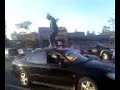 dancing ontop of a car