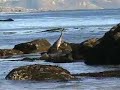 Day trip to Malibu Beach and the Malibu Colony