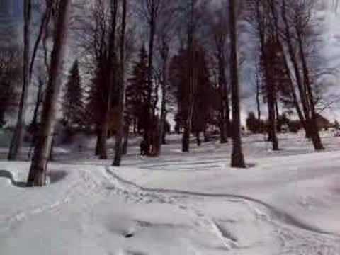 Haotik – Printre Copaci (Straja) item-thumbnail