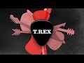 Click here to watch this video Het Jaar Van De Gitaar