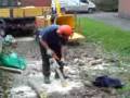 videos de sandbach CBC  workers
