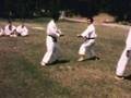1965 SKA Shotokan Jiyu-Kumite