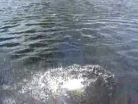 Throwing a rock in the river
