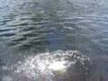 videos de Throwing a rock in the river