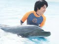 kenichi matsuyama