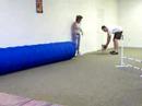Pug Agility Class Pug Agility Class