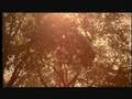 Playground Love - Air from The Virgin Suicides