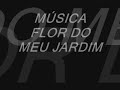 MÚSICA FLOR DO MEU JARDIM GRUPO UM SORRISO A MAIS
