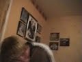 the-art-of-kissing-how-to-french-kiss-clip.html