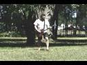 videos de We Will Rock You Guitar Solo Cover