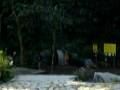 Pico Duarte 2009 - (1/8) (C.E.L.)