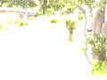Campo Bello