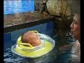 Baby Natalie swimming with her neck float at Palm Island