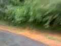 Somewhere in the western ghats-2..