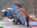 Only in Bulgaria XI