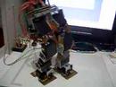 irobot KIDS bipedal test --- another walking trail
