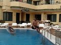 hump back whale back flip.MPG