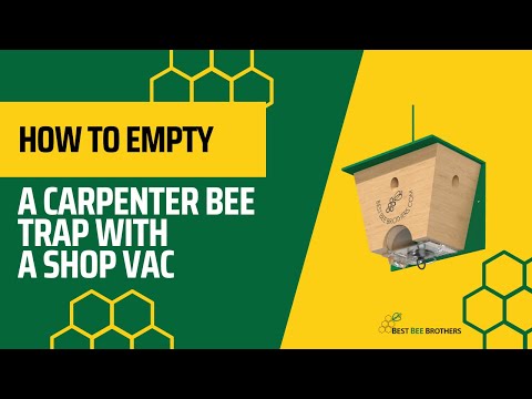 image preview of video showcasing How to Empty Turbo Trap Using Shop Vacuum