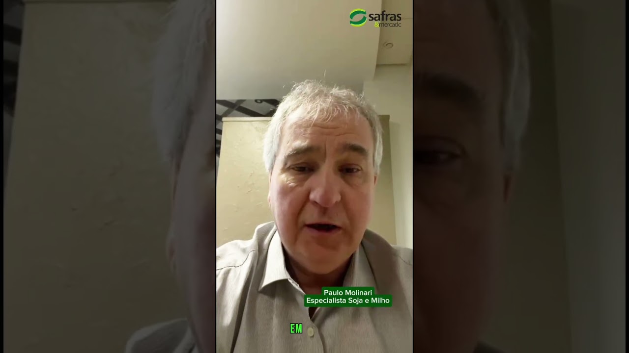 Comercialização Milho e soja - Cascavel/PR