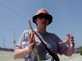 A crayfish moults in the L.A. River