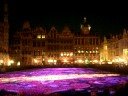 Brussels: Flower Carpet with Music