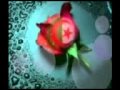 Staifi 2010,Hmidou Staifi galou 3la Stif