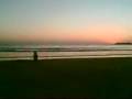 Arrifana 2007 - Melhor Praia - Costa Vicentina