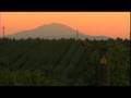 Washington State Wines (US)--Video
