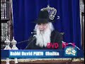 RaBBI David PINTO DVD 5 RaBBI David PINTO DVD 5