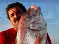 BARCO ADAMASTOR