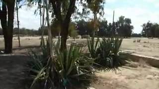 قرية بير عسلوج قضاء بئر السبع