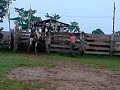 treino no benigno (todo mundo)