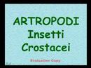 Monitoraggio dell\