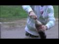 View Video