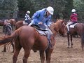 Glenworth - Horse ridding 2 Glenworth - Horse ridding 2