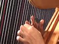 Daily Harp Moments-Pajaro Campana-The Bell Bird