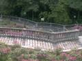 Hilltop Walk / Telok Blangah Hill (Southern Ridges) - Hilltop by market2garden