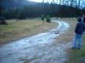 videos de Kyosho dbx dovre 2