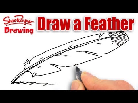 How to draw a feather