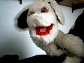 Re: 50th Video ANNIVERSARY! + Contest!
